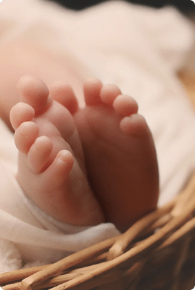 A baby's feet