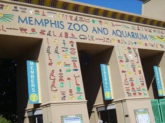 Memphis Zoo